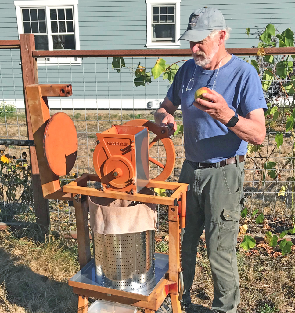 Crushing apples